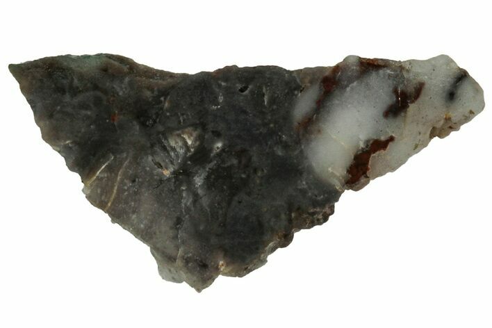 NWA Lunar Meteorite ( g) Slice #307582